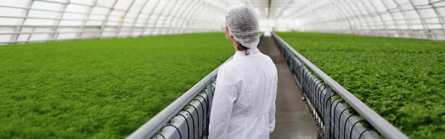 88858cc永利(Macau)有限公司官网